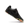 Chuteira Futsal NIKE SB Gato Preto – Colorido